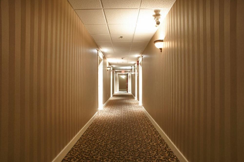 Strathcona Hotel Victoria Bagian luar foto